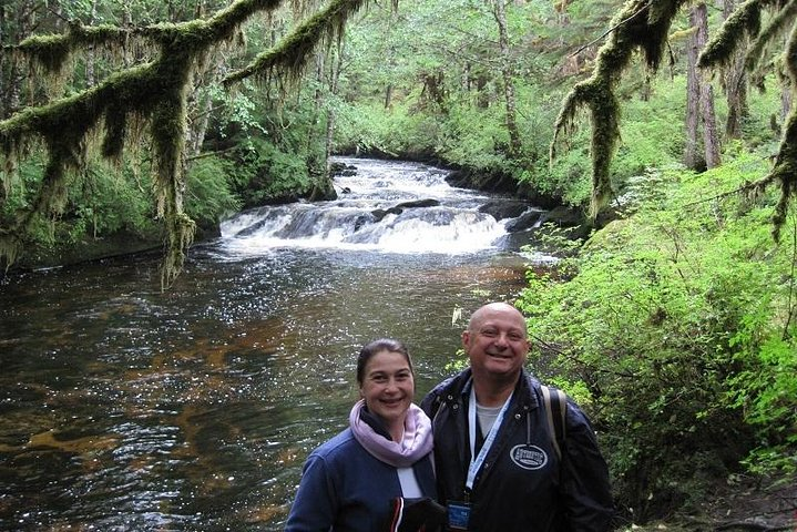 Rainforest walk along scenic creek